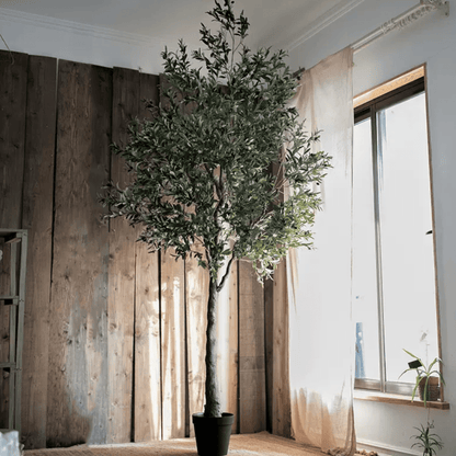 Extra Large Olive Tree 118" tall RusticReach artificial tree with dark green leaves in black pot on Tampa Home & Garden Store