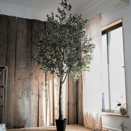 Extra Large Olive Tree 118" tall RusticReach artificial tree with dark green leaves in black pot on Tampa Home & Garden Store