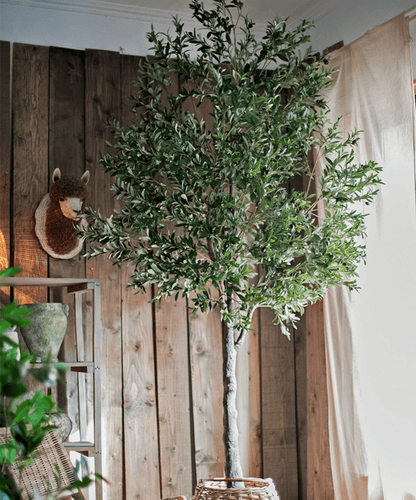 Extra Large Olive Tree artificial, 118in tall, RusticReach with woven basket base on Tampa Home & Garden Store