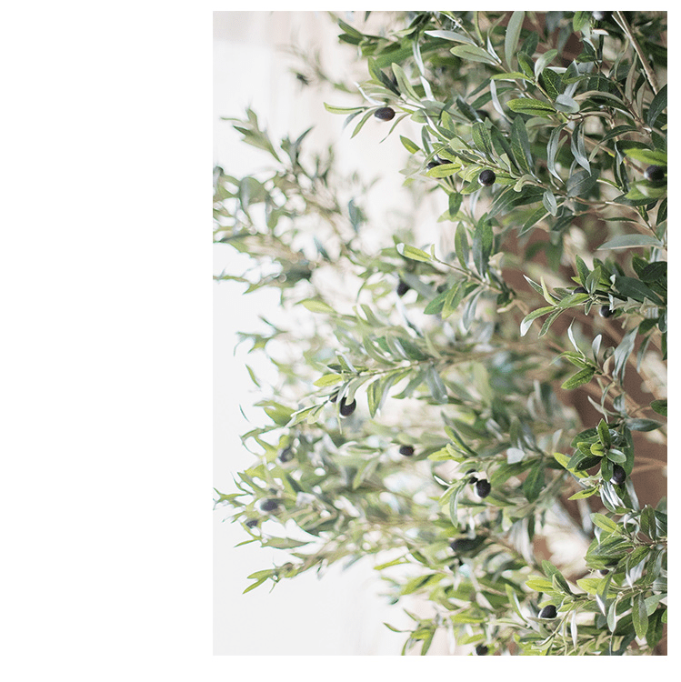 Extra Large Olive Tree 118 in tall artificial tree RusticReach with green leaves and olives on Tampa Home & Garden Store