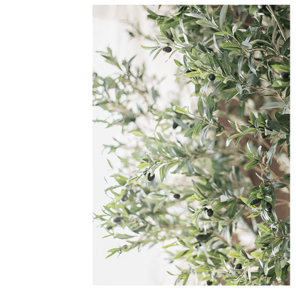 Extra Large Olive Tree 118 in tall artificial tree RusticReach with green leaves and olives on Tampa Home & Garden Store