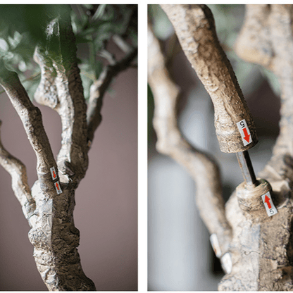 Extra Large Artificial Olive Tree 90 tall RusticReach, brown trunk with green foliage on Tampa Home & Garden Store