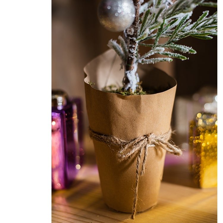 Cedar Fir Snow Flocked Christmas Tree in kraft paper-wrapped base with twine bow on Tampa Home & Garden Store