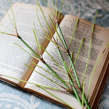 Artificial Zen Style Bamboo Stem 30in Tall by RusticReach, green stems on open book decor on Tampa Home & Garden Store