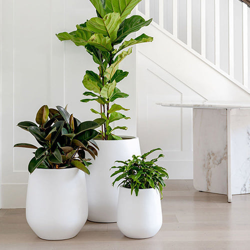 The Jitt Flared Planter | Unique Modern Statement Pot