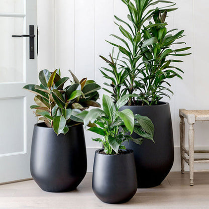 The Jitt Flared Planter | Unique Modern Statement Pot