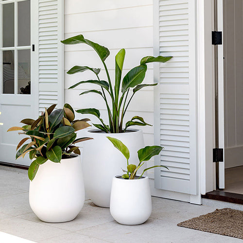 The Jitt Flared Planter | Unique Modern Statement Pot