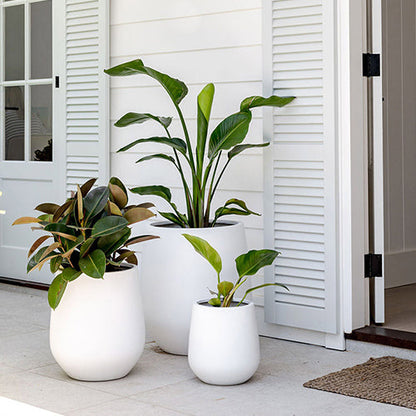 The Jitt Flared Planter | Unique Modern Statement Pot
