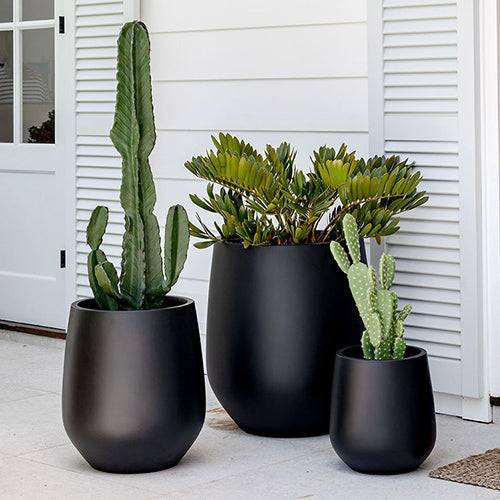 The Jitt Flared Planter | Unique Modern Statement Pot
