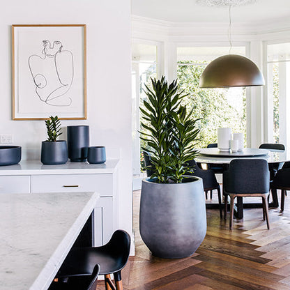 The Jitt Flared Planter | Unique Modern Statement Pot