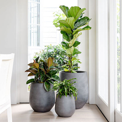 The Jitt Flared Planter | Unique Modern Statement Pot