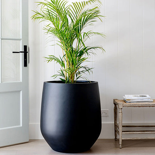 The Jitt Flared Planter | Unique Modern Statement Pot