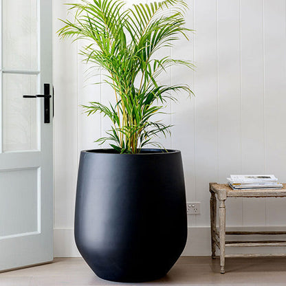 The Jitt Flared Planter | Unique Modern Statement Pot