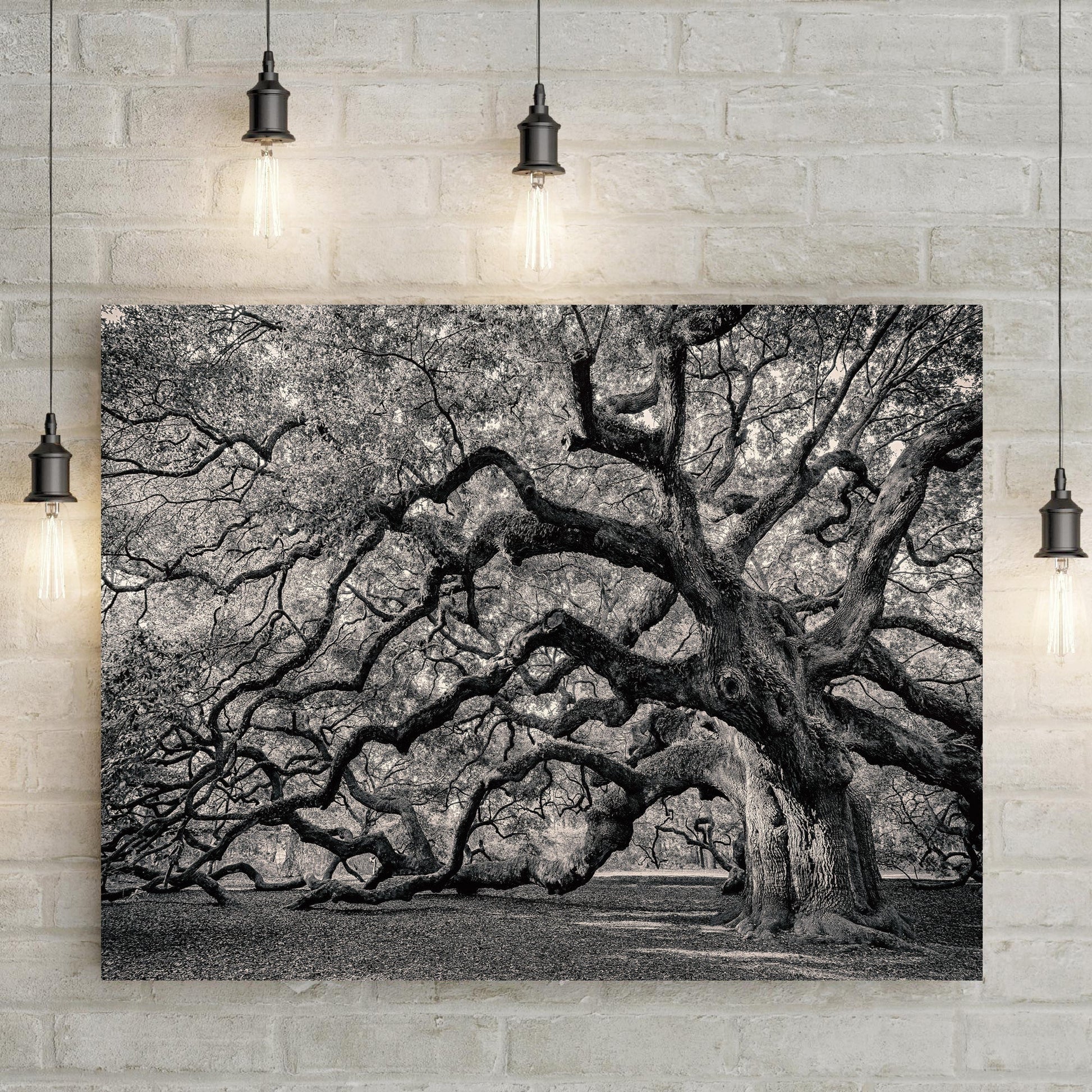 Monochrome Angel Oak Tree Canvas Wall Art by Tailored Canvases on Tampa Home & Garden Store