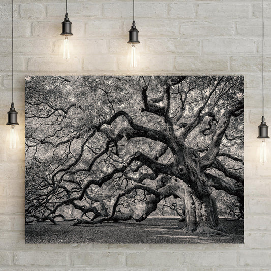Monochrome Angel Oak Tree Canvas Wall Art by Tailored Canvases on Tampa Home & Garden Store
