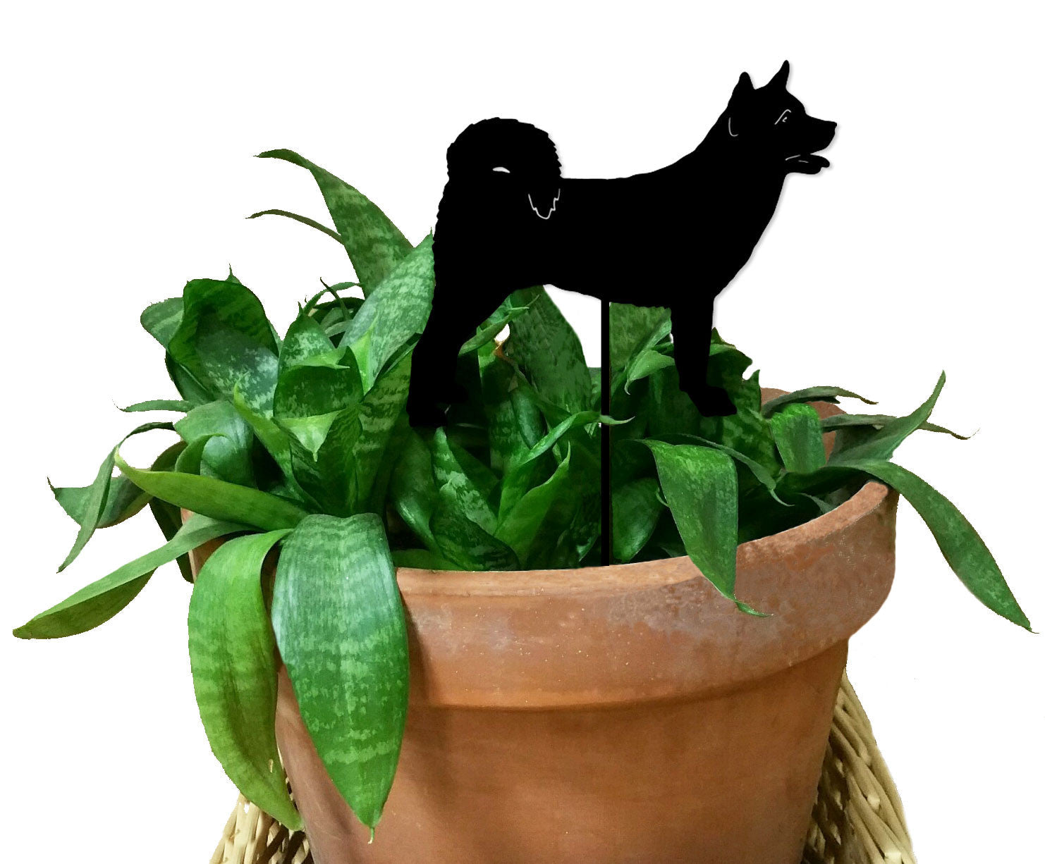 Japanese Akita Plant Stake black silhouette in clay pot with green leaves by Rustica Ornamentals on Tampa Home & Garden Store