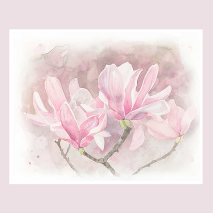 Japanese Magnolia - Tampa Home & Garden Store