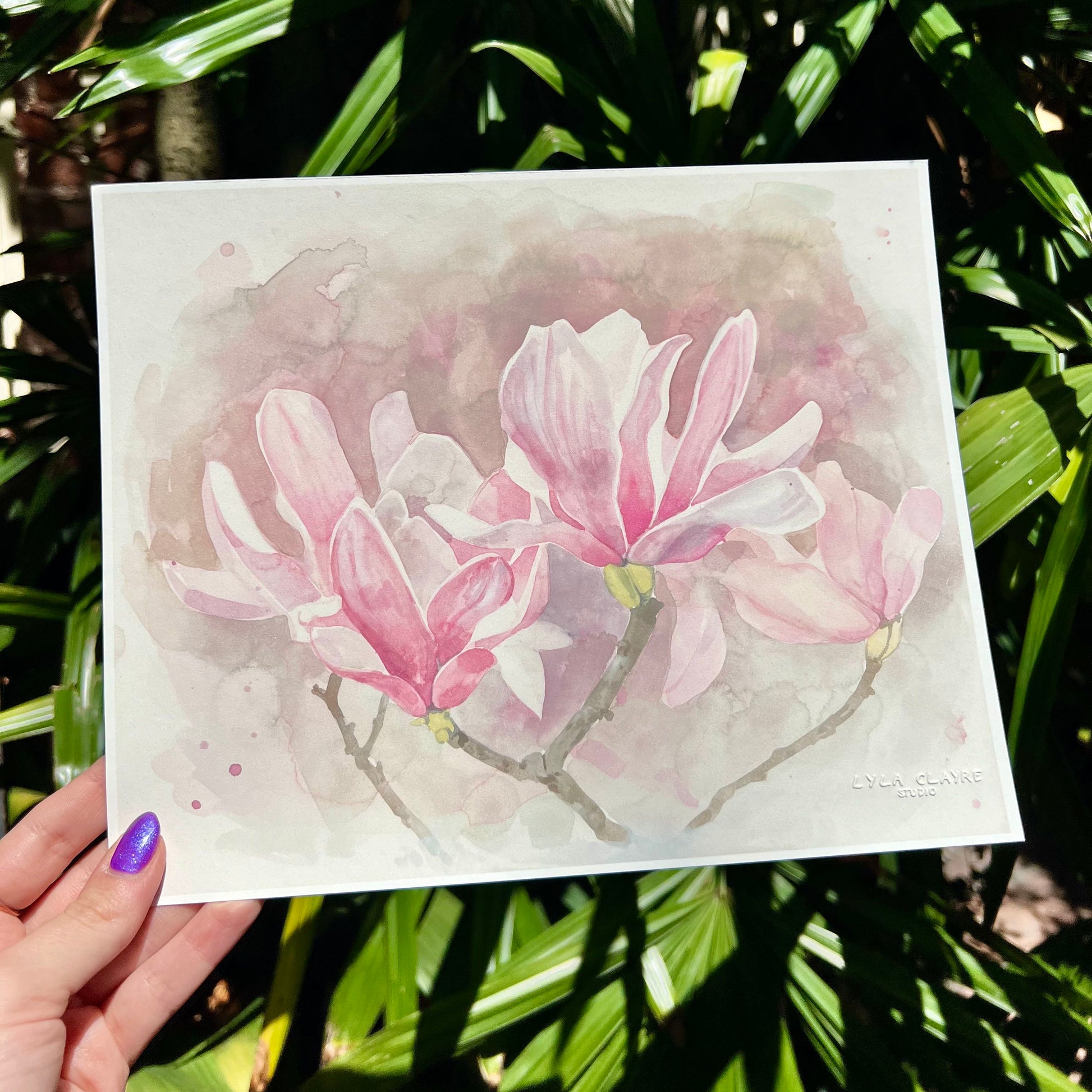 Japanese Magnolia - Tampa Home & Garden Store