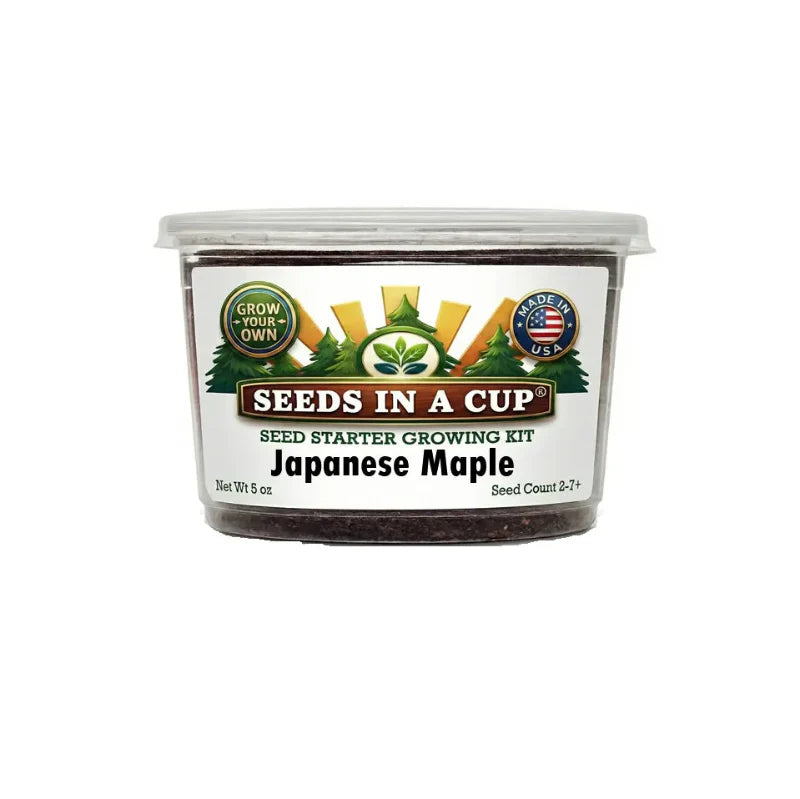 Japanese Maple Tree Grow Kit | Made In USA | Seeds In A Cup® - Tampa Home & Garden Store