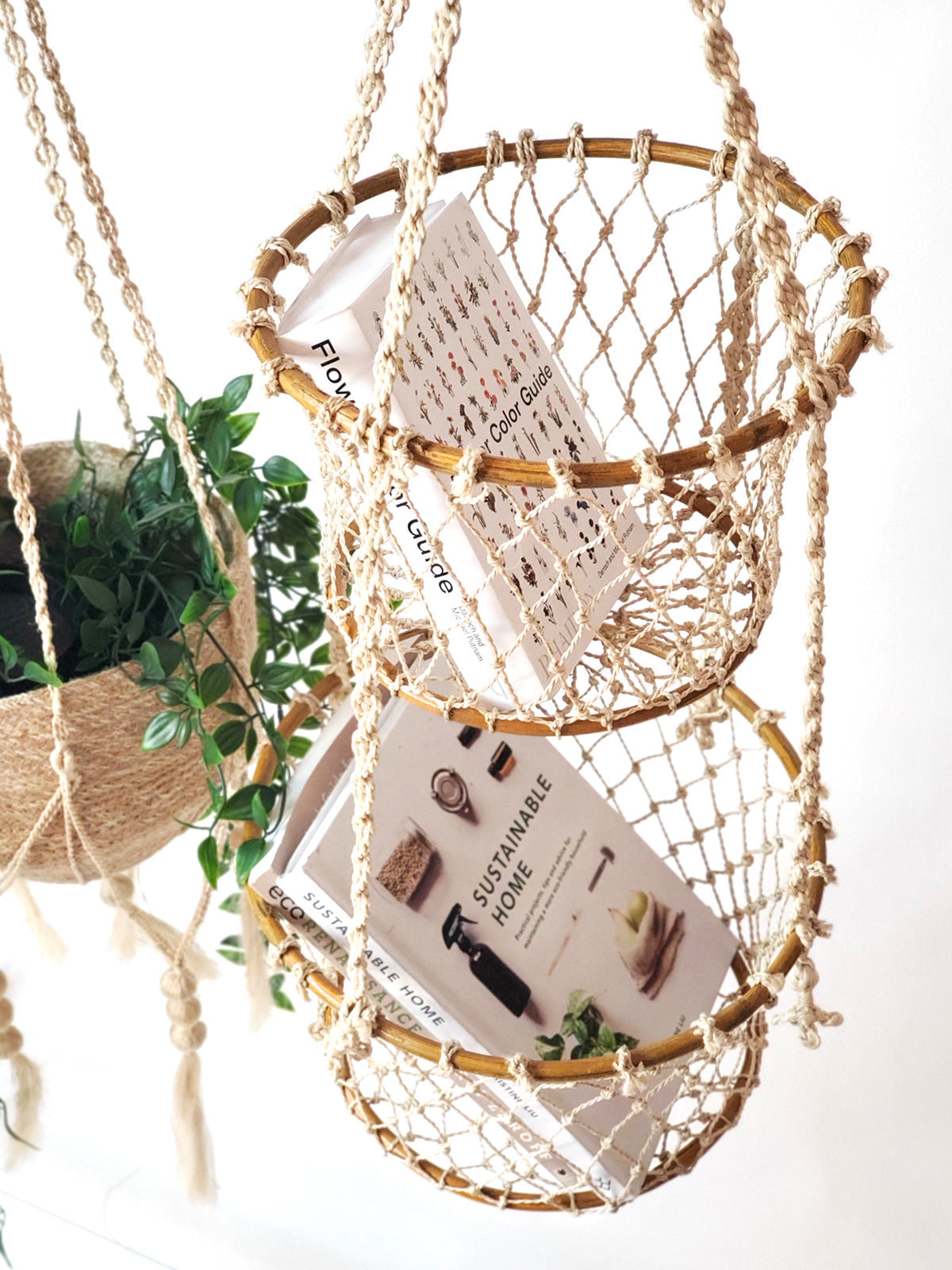 Jhuri Double Hanging Basket - Tampa Home & Garden Store