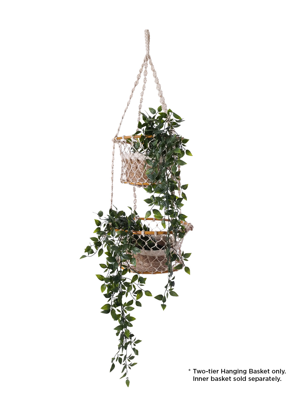 Jhuri Double Hanging Basket - Tampa Home & Garden Store