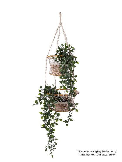 Jhuri Double Hanging Basket - Tampa Home & Garden Store