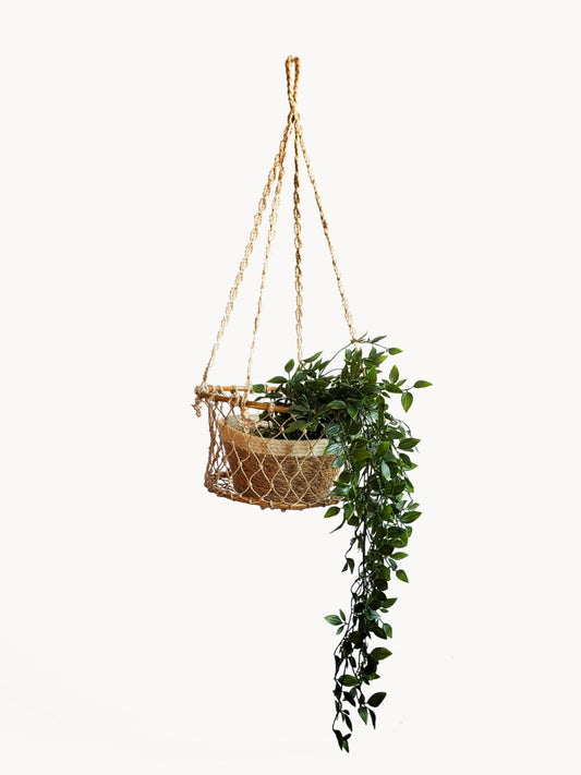 Jhuri Single Hanging Basket - Tampa Home & Garden Store