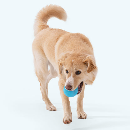 Jive Durable Chew Ball for Tough Chewers