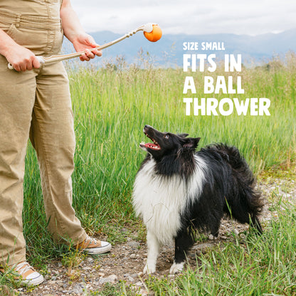 Jive Durable Chew Ball for Tough Chewers