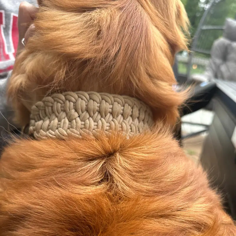 Josephine Braid Handmade Dog Collar - Customize Your Colors - Tampa Home & Garden Store