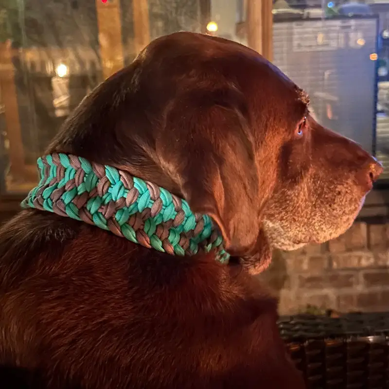 Josephine Braid Handmade Dog Collar - Customize Your Colors - Tampa Home & Garden Store