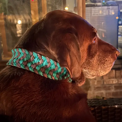 Josephine Braid Handmade Dog Collar - Customize Your Colors - Tampa Home & Garden Store