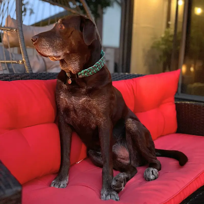 Josephine Braid Handmade Dog Collar - Customize Your Colors - Tampa Home & Garden Store