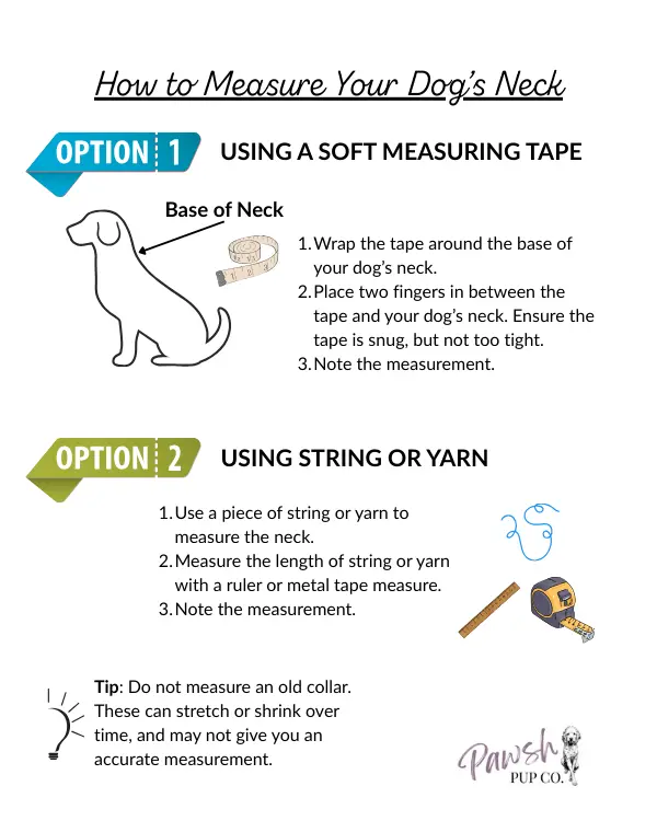 Josephine Braid Handmade Dog Collar - Customize Your Colors - Tampa Home & Garden Store