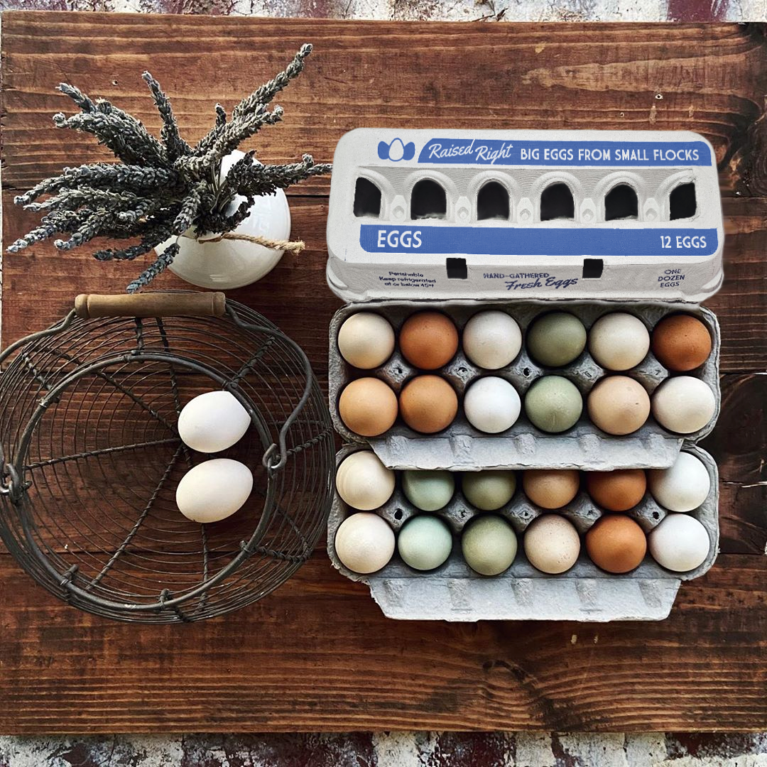 Henlay jumbo egg carton 12 eggs with assorted farm-fresh eggs on rustic wood table on Tampa Home & Garden Store