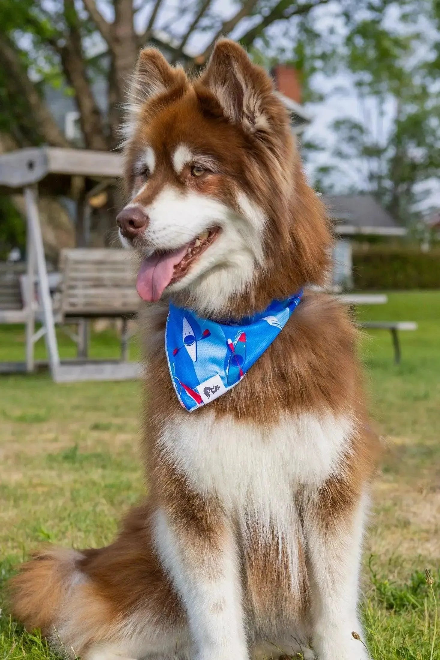 K9 Kayak Dog Bandana & Matching Keychain - Tampa Home & Garden Store