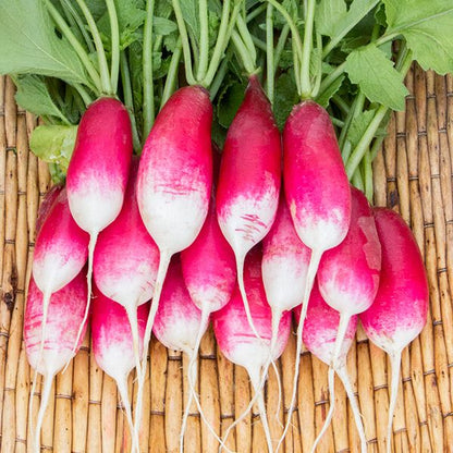 French Breakfast radishes with pink skin and white roots on a bamboo mat on Tampa Home & Garden Store
