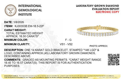 Bracelet IGI certified 14K gold emerald-cut lab-grown diamonds tennis bracelet Bids.com on Tampa Home & Garden Store