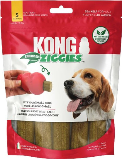 KONG Ziggies - Tampa Home & Garden Store