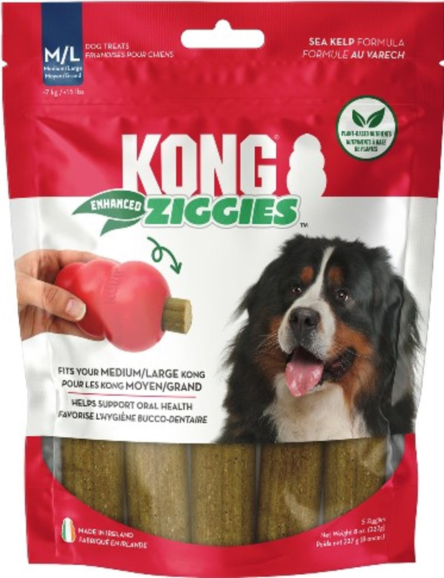 KONG Ziggies - Tampa Home & Garden Store