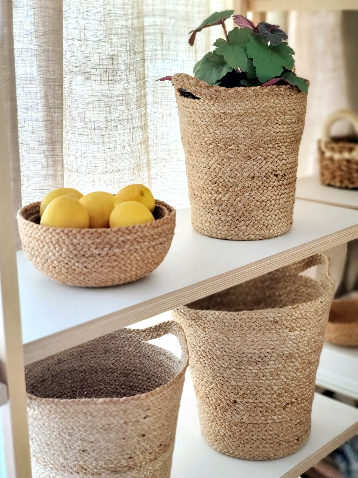 Kata Candy Bowl - Natural (Set of 4) - Tampa Home & Garden Store