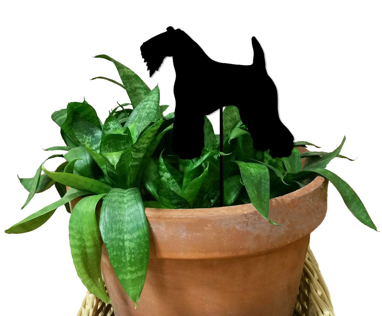 Kerry Blue Terrier plant stake by Rustica Ornamentals in a terracotta pot with green leaves on Tampa Home & Garden Store