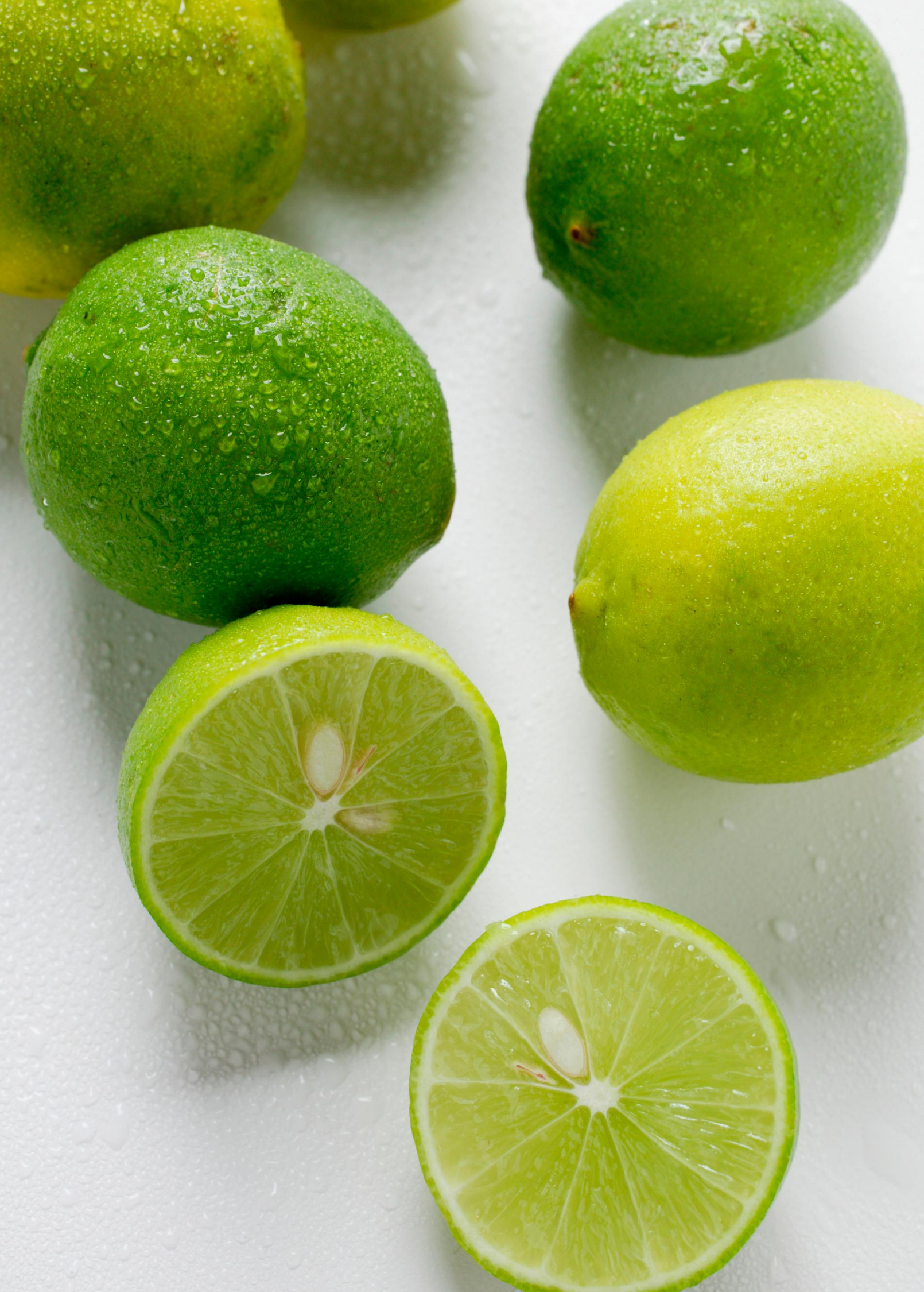 Key Lime Tree (Citrus × aurantiifolia) - Tampa Home & Garden Store