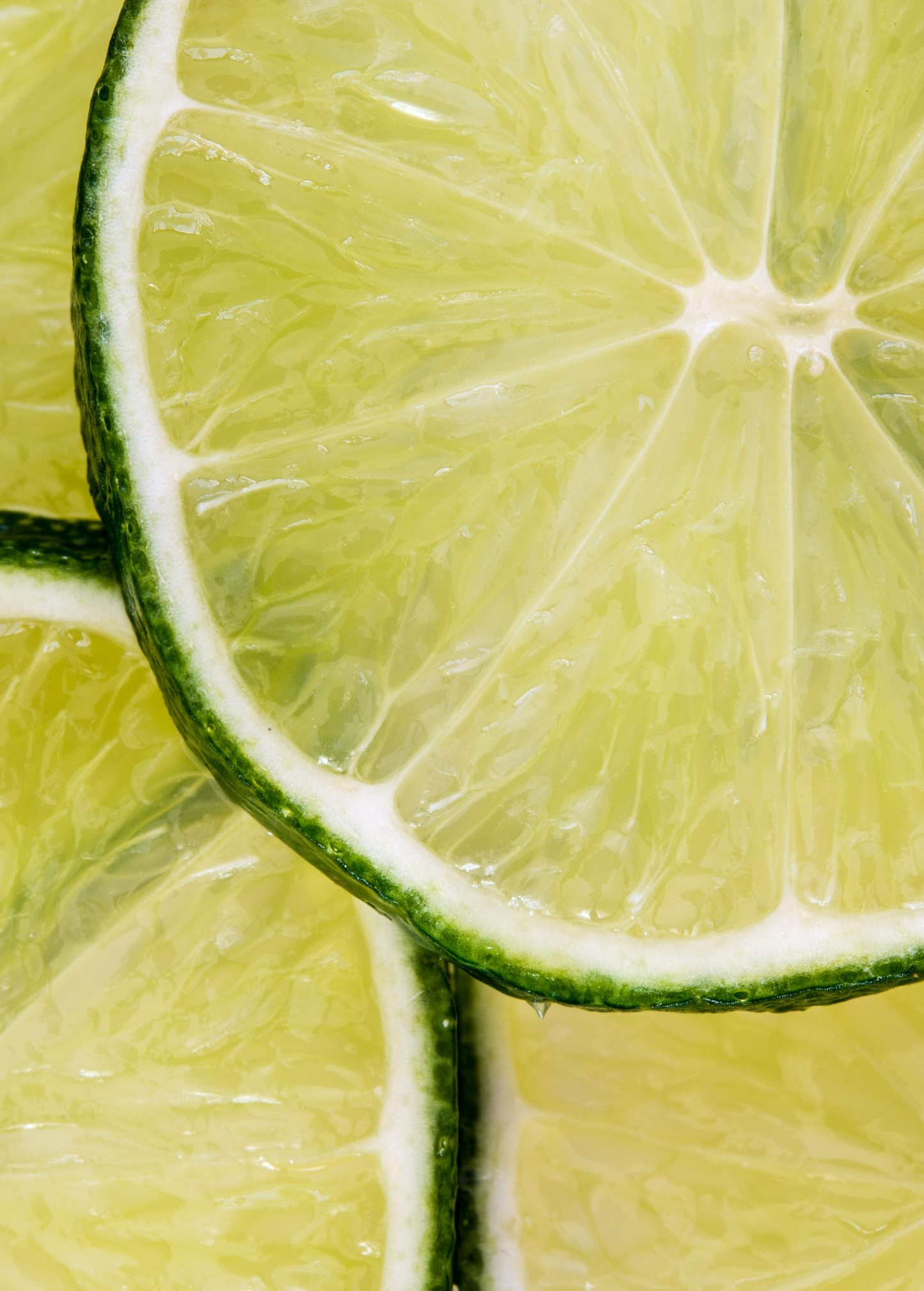 Key Lime Tree (Citrus × aurantiifolia) - Tampa Home & Garden Store