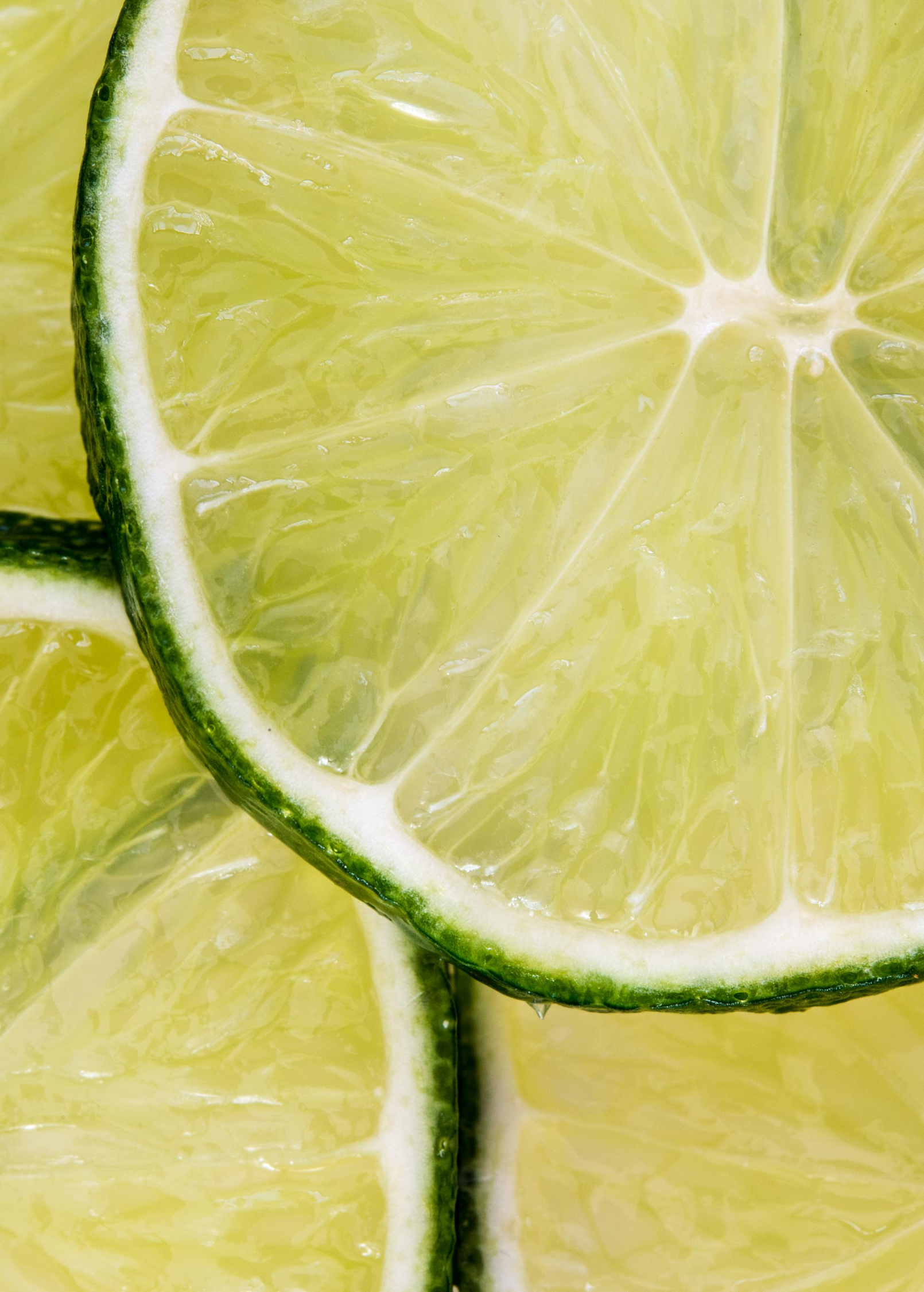 Key Lime Tree (Citrus × aurantiifolia) - Tampa Home & Garden Store