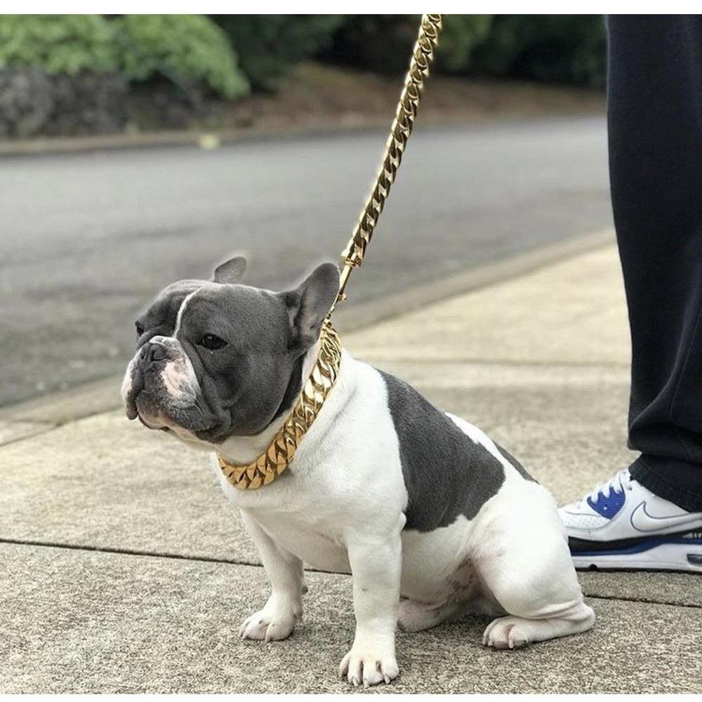Kilo Cuban Link | Leash - Tampa Home & Garden Store