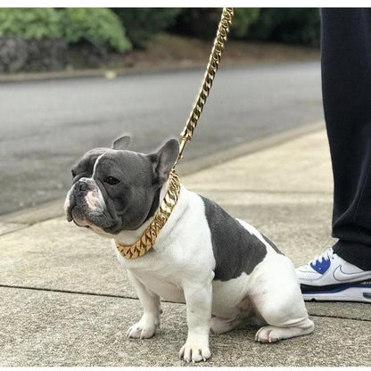 Kilo Cuban Link | Leash - Tampa Home & Garden Store