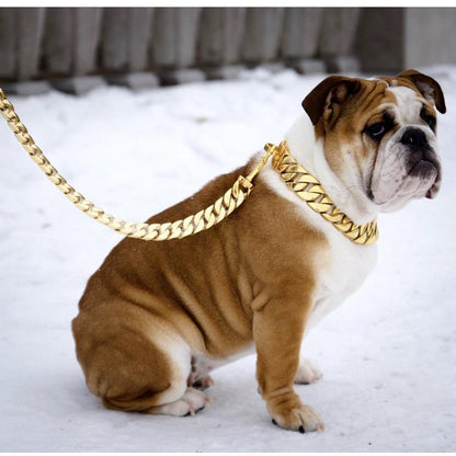 Kilo Cuban Link | Leash - Tampa Home & Garden Store