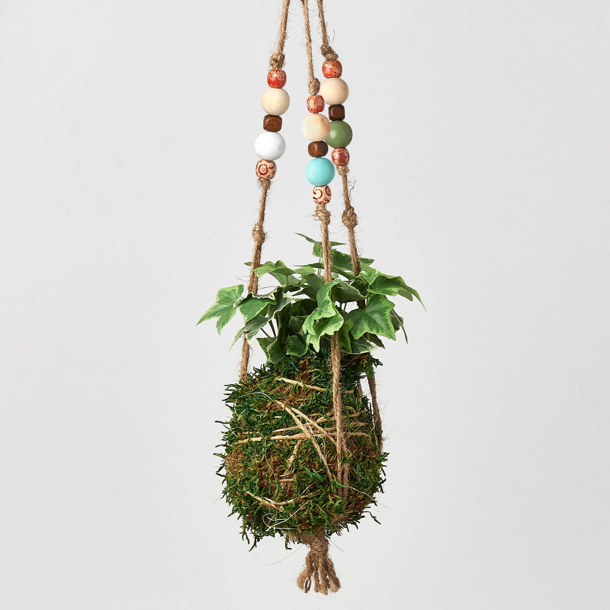 Bead Kokedama Moss Ball Hanging Plant with three bead-strung ropes and colorful beads on Tampa Home & Garden Store