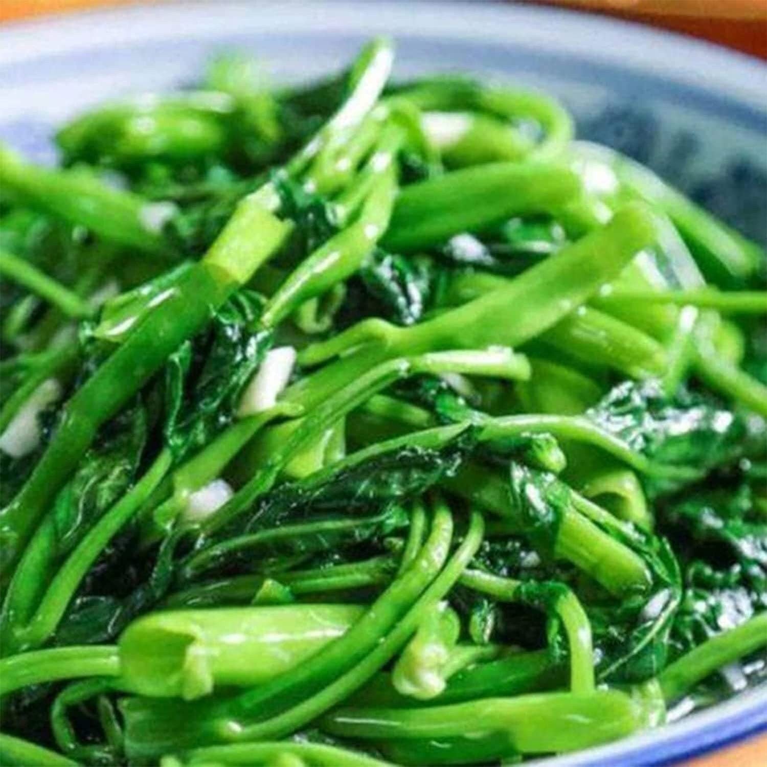 Kong Xin CAI Seeds for Yard & Garden - Non-Gmo Rau Muong Green Leaf Vegetable Seeds for Planting - 95% Germination Rate Choy Ong Seeds Produ - Tampa Home & Garden Store
